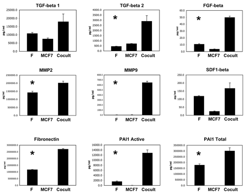 Figure 2 Co-culture of fibroblasts with breast cancer cells drives the secretion of growth factors and extracellular matrix proteins. As in Figure 1, conditioned media was prepared from single homotypic cell cultures of fibroblasts (F) and cancer cells (MCF7), for comparison with MCF7-fibroblast co-cultures. Note that certain key factors were highly upregulated, including TGFβ2, FGFβ, MMP2, MMP9, fibronectin and activated PAI-1. An asterisk indicates statistical significance; see Table 1 for specific p-values.