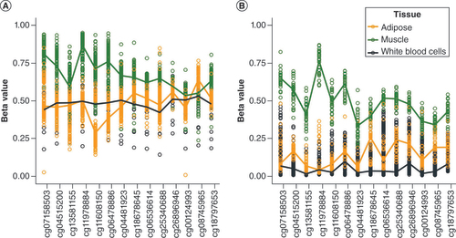 Figure 6. Methylation level of nc886 locus in adipose tissue, muscle and blood. Methylation level of nc886 locus in FTC in (A) imprinted individuals (as clustered based on nc886 methylation levels in blood) and (B) nonmethylated individuals. Despite the unimodal methylation level in muscle (Supplementary Figure 14), a difference in the methylation level of nc886 locus in muscle was observed between imprinted and nonmethylated individuals.