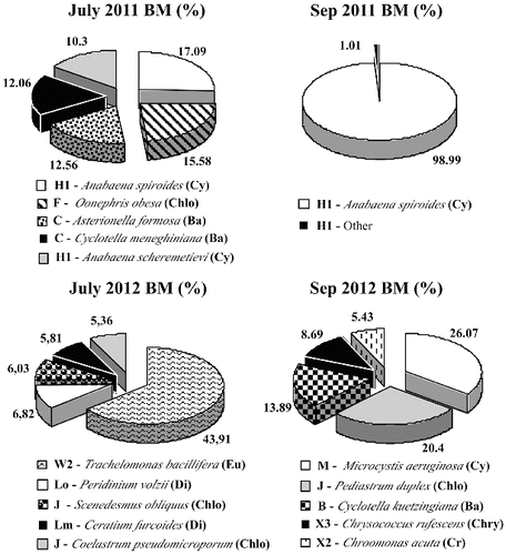 Figure 4. Relative biomass (Bm, %) of the main phytoplankton species (>5% of the total biomass) with their taxonomic and functional groups in Golyamo Skalensko Lake.