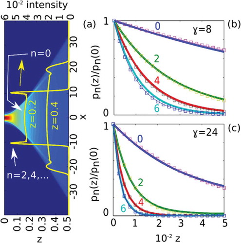 Figure 4. (a) Numerical solution of Eq. (19) with p=104 and σ2=10; (b) projection on GVs for increasing order n for α=0.3 and γ=8; continuous lines are from Eq. (19), dots are from Eq. (27); (c) as in panel (b) for γ=24.Figure reprinted with permission from [Citation37]. Copyright 2015 by the American Physical Society.