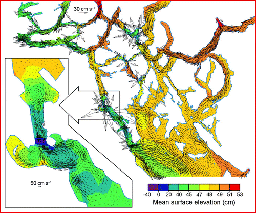 Fig. 10 Mean model surface elevations and flows at 1 m depth computed by harmonic analyses for the period 4–28 April 2010. Only vectors at nodes separated by a minimum of 600 m are shown in the larger region; all vectors are shown in the Seymour Narrows insert.