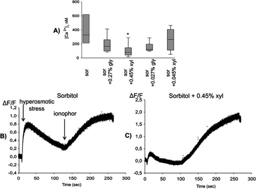 Figure 2 (A) Xylitol protected against the hyperosmotic stimulus-induced increase in intracellular Ca2+ concentration. Statistical analysis was performed with Kruskal–Wallis one-way analysis of variance on ranks, followed by Dunn’s method (median, 25th and 75th percentile), *p<0.05 vs sor, n=8–10. (B and C) A representative curve of the relative fluorescence on 450 mOsm sorbitol (B) and additional xylitol-treated group (C).