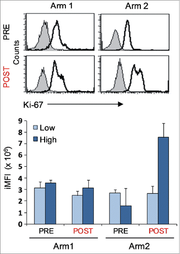 Figure 4. Proliferative potential of Melan-A-specific T-cell clones. Intracellular staining for Ki-67 expression of CTL clones (n = 12) isolated before (PRE) and after (POST) treatments from both Arms, performed 7 d after re-stimulation with allogenic irradiated PBMC, rIL-2 and PHA. Top panel: representative staining for each indicated sample group with anti-Ki-67 (open histograms) or isotype (filled histograms) mAbs, showing the presence of two positive cell populations with diverse amounts of Ki-67 molecule expression (low and high). Bottom panel: magnitude of low and high proliferating cells as measured by integrated mean fluorescence intensity (iMFI), (see Material and Methods for details). Results are shown as mean ± SD.
