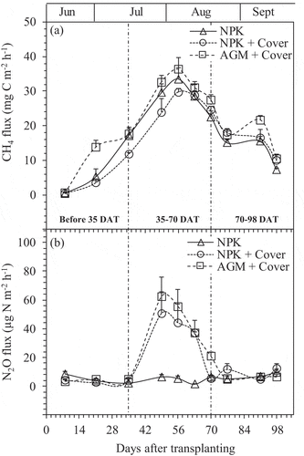 Figure 2. Changes in CH4 (a) and N2O (b) fluxes from plots treated with chemical fertilizer (NPK), NPK plus Azolla cover (NPK + Cover), and Azolla as green manure plus Azolla cover (AGM + Cover) throughout the experimental period. Vertical bars indicate standard error (n = 4). Dashed lines show the early, middle and later rice growth stages.