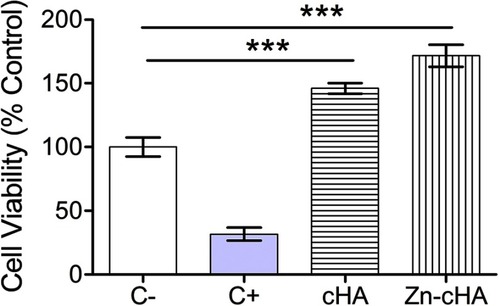 Figure 4 MC3T3 cell viability after exposition to supplemented regular medium, 1% SDS, cHA and Zn-cHA extracts.Note: (C–, negative control), (C+, positive control). The normalized data (being C– equal to 100%) were submitted to ANOVA with Tukey post-hoc test (*** p<0.05) statistically different from C-. Abbreviations: MC3T3, preosteoblast cells; SDS, sodium dodecyl sulfate; cHA, carbonated hydroxyapatite; Zn-cHA, Zinc-doped carbonated hydroxyapatite.