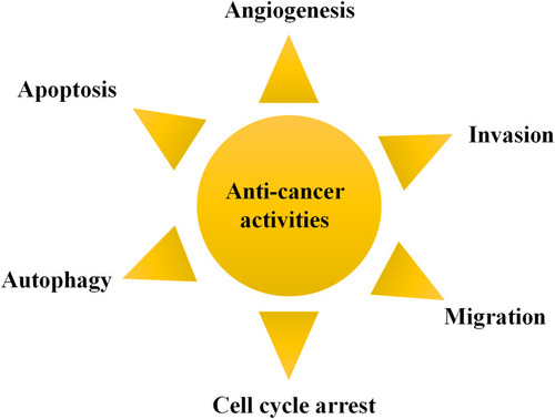 Figure 1 Anti-cancer activities of GA.