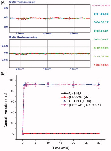 Figure 4. Stability of CPP–CPT NB in the presence of 50% FBS. The transmission and backscattering profiles of each formulation was measured at each time point by using Turbiscan Lab® Expert. Data are reported as a function of time (0–24 h) and sample height (from 33 to 48 mm) (A). Release behaviors of CPT or CPP–CPT from nanobubbles with or without ultrasound (B). The data are presented as the mean ± SD (n = 3).