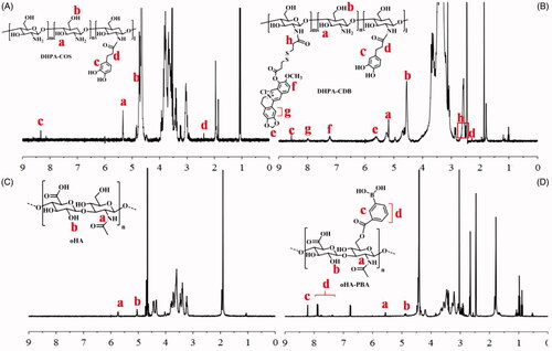 Figure 3. Characterization of polymers by 1 H-NMR: (A) DHPA-COS. (B) DHPA-CDB. (C) oHA. (D) oHA-PBA.