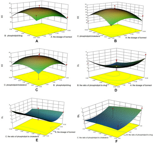 Figure 1 Three-dimensional effect surface diagrams of encapsulation efficiency. (A) BO dosage to phospholipid–drug ratio (EE). (B) BO dosage to phospholipid–cholesterol ratio (EE). (C) Phospholipid–drug ratio to phospholipid–cholesterol ratio (EE). (D) BO dosage to phospholipid–drug ratio (DL). (E) BO dosage to phospholipid–cholesterol ratio (DL). (F) Phospholipid–drug ratio to phospholipid–cholesterol ratio (DL).