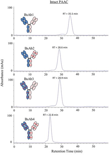 Figure 4. Protein A affinity chromatography chromatograms for BsAb1, BsAb2, BsAb3, and BsAb4 intact IgG. Protein absorbance was monitored at 280 nm.