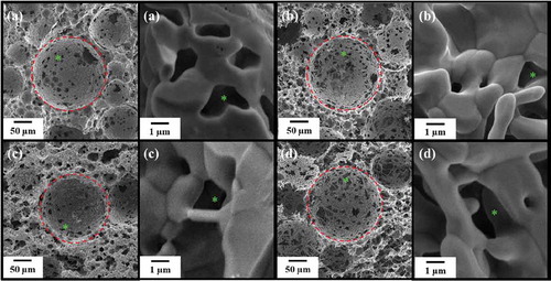 Figure 2. SEM micrographs of scaffolds: (a) AFS100, (b) AFS300, (c) Si-AFS100, and (d) Si-AFS300. Macropores and micropores were present (dashed red circles and green asterisks).