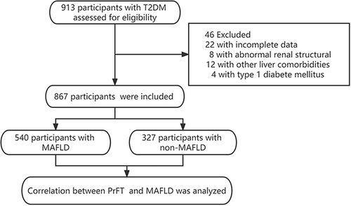 Figure 1 The flow diagram of the participants excluded and included in this study.