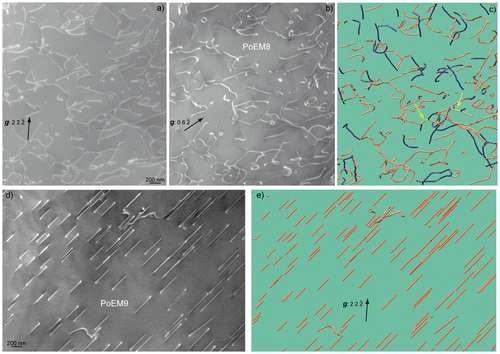 Figure 1. Typical PoEM8-PoEM9 microstructures: (a) WBDF micrograph obtained with the diffraction vector ( and dislocations are in contrast); (b) WBDF micrograph obtained with g  =  on the same region as (a) (only dislocations are in contrast); (c) Corresponding 3D reconstruction (, and dislocations are shown in blue, orange and yellow colours, respectively), the two yellow arrows point out junctions; (d) Characteristic microstructure of PoEM9 only composed of dislocations, with a large majority of straight lined screw segments, few non-screw segments and scarce dislocation loops [Citation10]; (e) 3D reconstruction of (d) ( dislocations are shown in orange).