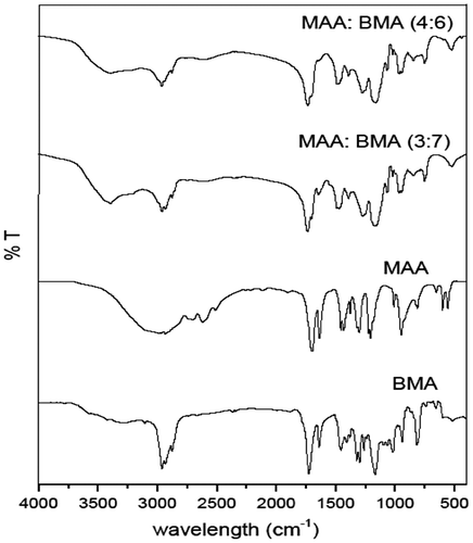 Figure 4. FTIR spectra of monomers (methacrylic acid and butyl methacrylate) and selected copolymers MAA:BMA (3:7 and 4:6).