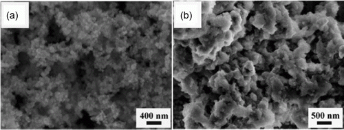 Figure 20.  SEM image of the nickel nanocatalysts before and after the sixth cycle of the Heck cross-coupling reaction (75). Reproduced by permission of the Royal Society of Chemistry.