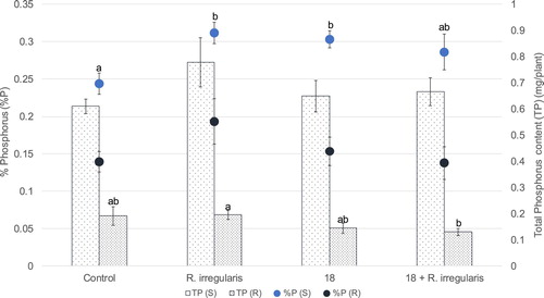 Figure 5. Average total phosphorus assimilation as well as content (in percentage) for shoots and roots of wheat plants from the greenhouse assay. The columns with the lighter and darker pattern represent total P in plant shoot and root, respectively. Average phosphorus percentages for shoots and roots are represented by lighter and darker dots, respectively. Characters TP and %P, inserted in the graphs, represent total phosphorus and P content (%), respectively. Characters (S) and (R), inserted in the graph, represent shoots and roots, respectively. Other terms are as in the legend of the precedent figures. Vertical bars indicate SE (n = 5). The different letters indicate results that are statistically significantly different (P < 0.05).