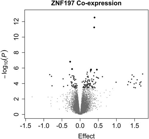Figure 4. ZNF197 Genome-Wide Co-expression.Volcano plots display the p-value and effect estimate (log fold change). One hundred and thirty-eight genes are significantly co-expressed with ZNF197 (larger points in the volcano plot). Large grey dots indicate that the association had a false discovery rate (by Benjamini Hochberg method) less than 0.05 and the large black dots indicate a Bonferroni-adjusted p-value less than 0.05.