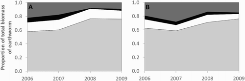 Figure 4. The proportional contribution of each species to the total mass of earthworms (m2) sampled in each year, under A, dryland and B, irrigation. Earthworm species include L. rubellus (▪), O. cyaneum (▪), A. trapezoides (□) and A. caliginosa (▪).