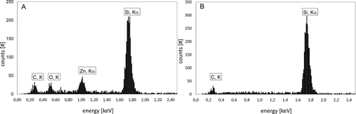 FIG. 5 EDX spectroscopy. (a) Spectrum of a particle: absorption peaks of carbon (C, K), oxygen (O, K), zinc (Zn, Kα), and silicon (Si, Kα). (b) Background spectrum: absorption peaks of carbon (C, K) and silicon (Si, Kα).