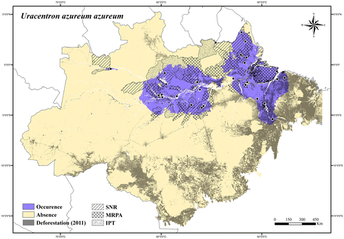 Figure 126. Occurrence area and records of Uracentron azureum azureum in the Brazilian Amazonia, showing the overlap with protected and deforested areas.