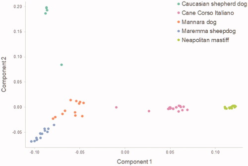 Figure 7. Plot of the multidimensional scaling analysis (MDS). Each dot represents a subject and each colour a breed.