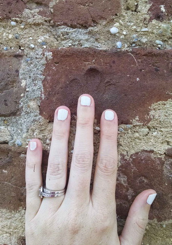 FIGURE 5. Amy E. Potter’s hand next to the fingerprints of enslaved persons left behind in the bricks of slave cabins at Boone Hall Plantation in Charleston, SC. (Color figure available online.).