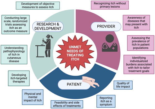 Figure 3. The unmet needs of treating itch from the patient, provider, and research perspectives.