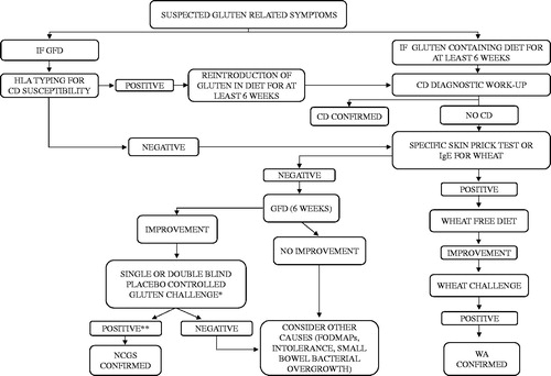 Figure 3. Diagnostic flow-chart in suspected gluten-related disorders. *According to Salerno experts’ criteria. **Positive challenge is defined as a variation of at least 30% of one to three main symptoms between the gluten and the placebo challenge. Gluten-free diet (GFD), human leukocyte antigen (HLA), celiac disease (CD), wheat allergy (WA), fermentable oligosaccharides, disaccharides, monosaccharides and polyols (FODMAPs), non-celiac gluten sensitivity (NCGS).