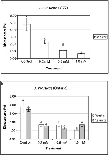 Fig. 2. Severity of disease symptoms induced by L. maculans and A. brassicae (Ontario isolate) on whole leaves of Brassica plants. Effects of various concentrations of BAP treatments on the disease severity score (%) induced by a, L. maculans on B. napus, and b, by A. brassicae on B. napus and B. carinata. Data were analyzed by ANOVA (P < 0.05) and different letters on the histogram (capital letters for ‘Westar’; lower case for ‘Carinata’ plants) indicate significant (P < 0.05) differences for each plant line under different concentrations of hormonal treatments.