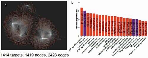 Figure 4. The network of the top five-decreased miRNAs associated with EBV circRNAome and their targets (a) and the enrichment of their targets (b). The network was generated using miRNet. The network was composed of 1414 targets, 1419 nodes, and 2423 edges. The enrichment assay indicated that the targets were enriched at herpes virus infection, cell cycle, cancer pathway, etc.