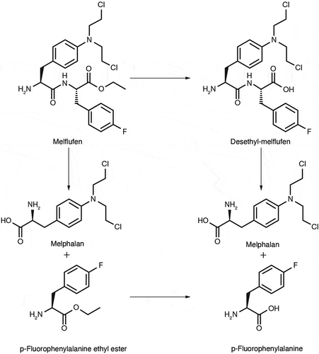 Figure 1. Clinical structure of melflufen hydrochloride and its metabolites melphalan and desethylmelflufen.