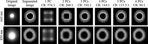 FIGURE 7 The visual effect of retaining principal components (PCs) with different compression ratios (CR) for a tomato sample.