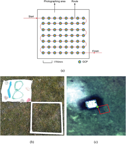 Figure 3. Schematic diagram showing the UAV flight route and ground plot set. (a) UAV flight route design. The red line represents the flight path and heading. The blue circle with a yellow star inside represents the ground control point set. (b) The reference plot and sample plot set used to assist UAV photography and ground truth sample collection on the ground. The white paper with the number represents the reference plot, and the white quadrant in the bottom right corner represents the sample plot. (c) The UAV image of the reference plot and sample plot. The blue polygon represents the reference plot, the red polygon represents the sample plot corresponding to (b), and the green point represents the control point.