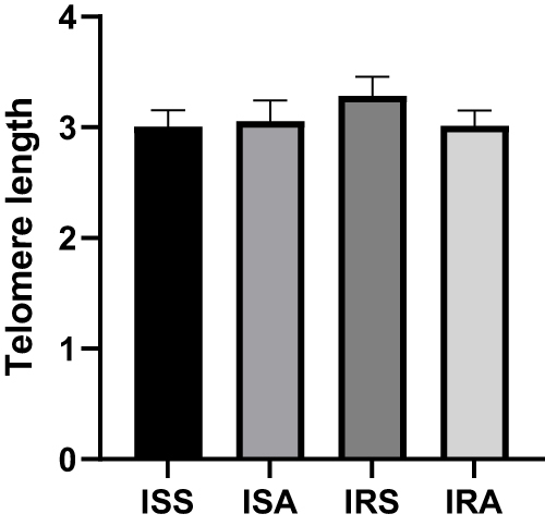 Figure 3 Comparing DNA telomere length among ISS, ISA, IRS and IRA groups. Linear regression analysis evaluating the differences among the studied groups after correcting for age, BMI, gender, and fasting time. Data are presented as Mean±SEM.