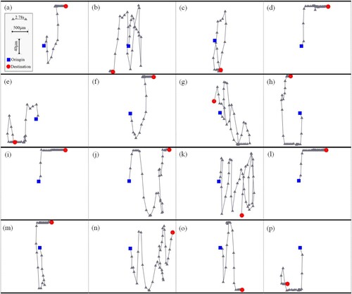 Figure 13. The swimming trajectory of every individual sperm.