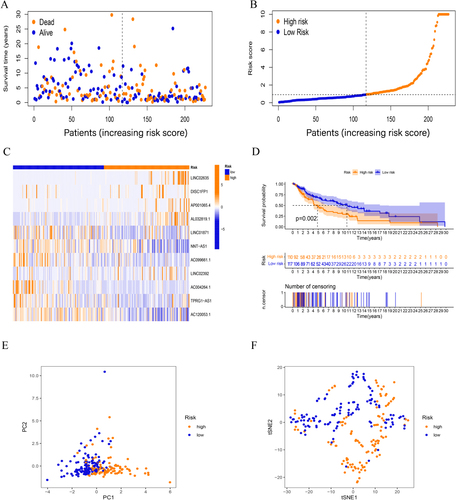 Figure 3 Validation of prognostic FAMs-related lncRNA signature. (A-C) The survival time/status, risk score, and (C) heatmap for the testing set. (D) Kaplan–Meier curve for the testing set. (E-F) PCA and tSNE test for the testing set.