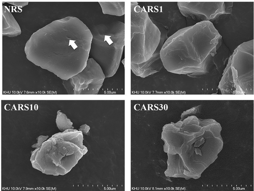 Figure 1. Scanning electron microphotographs of native and cross-linked rice starches prepared with different concentrations of citric acid (1–30%). The bold arrows indicate the pores on the surface of native starch granules.