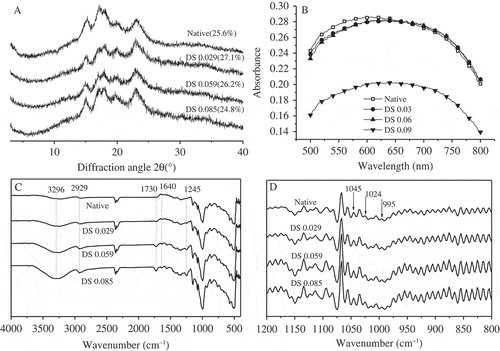 Figure 2. Molecular structure of four starches. A: XRD diffraction patterns; B: iodine binding analysis over wavelength scan of 500~800 nm; C: FTIR spectroscopy; D: deconvoluted FTIR spectroscopy from 1200 to 800 cm−1.