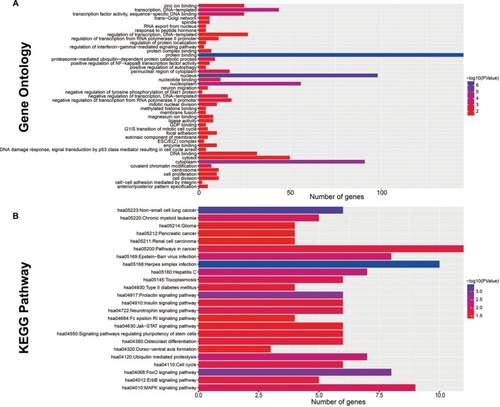 Figure 7 Functional assessment of the target genes of these 11 prognostic related miRNAs.Notes: (A) GO term enrichment results of target genes; (B) KEGG enrichment results of target genes.Abbreviations: GO, Gene Ontology; KEGG, Kyoto Encyclopedia of Genes and Genomes.