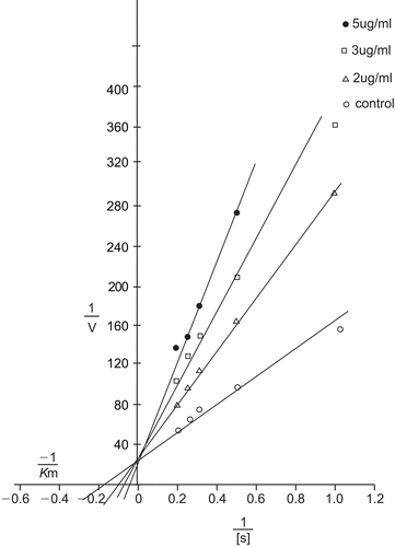 Figure 1.  Lineweaver–Burk plot showing competitive inhibition of XO by derivative 3b with varying concentration of xanthine (1–5 µg/mL) and fixed concentration of enzyme (0.0405 U/mL) in potassium phosphate buffer (50 mM, pH 7.4) to a total reaction volume of 3.5 mL.