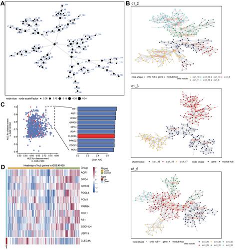 Figure 4 MEGENA to identify COPD candidate genes based on coexpression of common genes. (A) Global MEGENA network of common genes. Nodes represent different modules. The larger the node, the greater the number of genes in the module. (B) Child modules with the largest number of genes in the MEGENA network. Different colors represent different child modules, and triangles represent hub genes of modules. (C) Areas under the receiver operating characteristic curve (AUC) of genes in modules C1_6, C1_3, and C1_2 in the GSE47460 and GSE151052 datasets. (D) Heatmap of candidate genes, where red indicates upregulated and green indicates downregulated.