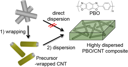 Figure 22. Schematic illustration showing the advantage of the polymer-wrapped CNTs for the preparation of a PBO/CNT composite [Citation120].