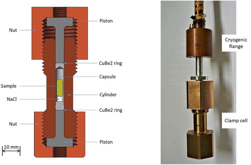 Figure 1. (left) The schematic diagram of the cell; (right) the CuBe2 prototype mounted on the sample rod of the 8 T magnet at POLI.
