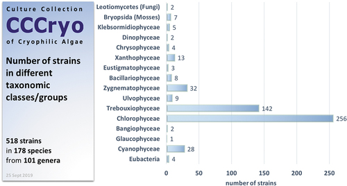Figure 2. Overview of the taxonomic diversity of strains in the CCCryo.