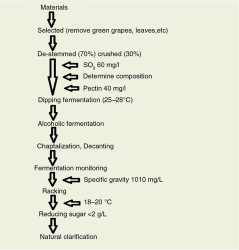 Fig. 1 Winemaking procedure scheme following the traditional methods for red and fruit wines.