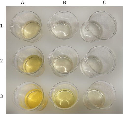 Figure 4. Tannic acid solutions treated with nitric acid: (A) 10% tannic acid solution; (B) 5% tannic acid solution; (C) 2.5% tannic acid solution; (1) freshly made solution; (2) solution after adding 68% nitric acid; (3) after heating the solution mixed with nitric acid. © G. Montanari.