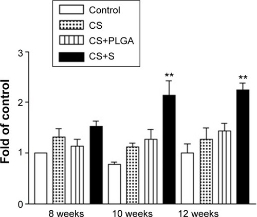 Figure 6 Histological quantification study of new bone matrix formation at 8, 10, and 12 weeks after implantation of bone graft substitutes.Note: **P<0.0001 compared with controls and between treatment groups, respectively.Abbreviations: CS, calcium sulfate; SIM, simvastatin; PLGA, poly(lactic-co-glycolic acid) microspheres.