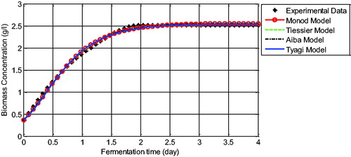 Figure 4. Comparison between experimental data and the model solution for biomass concentration.