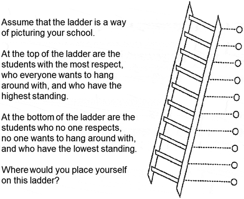 Figure 1. The survey question ‘subjective social status in school’ used in the study, based on Goodman and colleagues [Citation9].