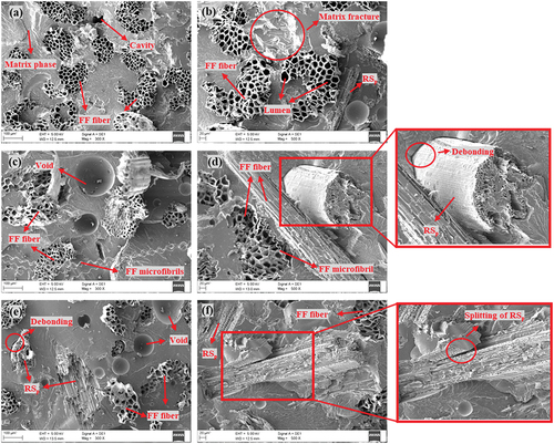Figure 12. Microscopic images from the failure region (a), (b) R05F20 (c), (d) R10F20 and (e), (f) R15F20.